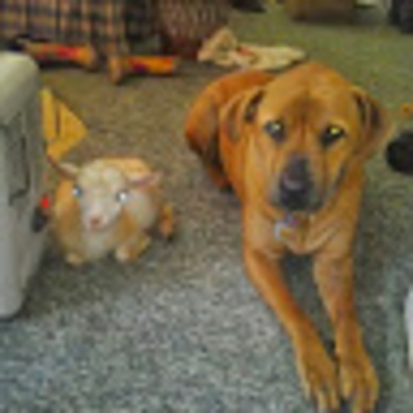 Meet your Posher, Brent - Picture 1 of 1